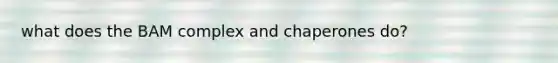 what does the BAM complex and chaperones do?