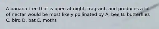 A banana tree that is open at night, fragrant, and produces a lot of nectar would be most likely pollinated by A. bee B. butterflies C. bird D. bat E. moths