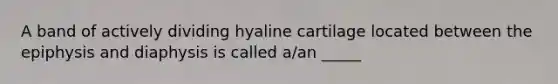 A band of actively dividing hyaline cartilage located between the epiphysis and diaphysis is called a/an _____