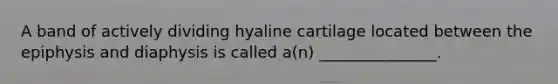 A band of actively dividing hyaline cartilage located between the epiphysis and diaphysis is called a(n) _______________.