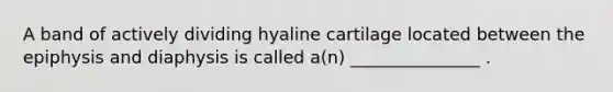 A band of actively dividing hyaline cartilage located between the epiphysis and diaphysis is called a(n) _______________ .