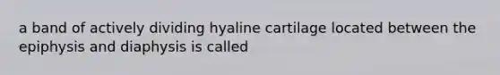 a band of actively dividing hyaline cartilage located between the epiphysis and diaphysis is called