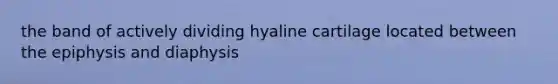 the band of actively dividing hyaline cartilage located between the epiphysis and diaphysis