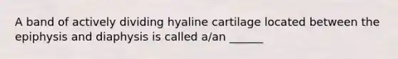 A band of actively dividing hyaline cartilage located between the epiphysis and diaphysis is called a/an ______