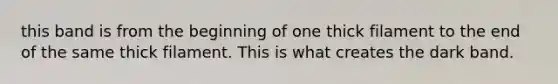 this band is from the beginning of one thick filament to the end of the same thick filament. This is what creates the dark band.
