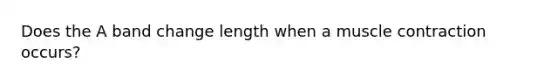 Does the A band change length when a muscle contraction occurs?