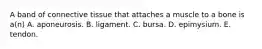 A band of connective tissue that attaches a muscle to a bone is a(n) A. aponeurosis. B. ligament. C. bursa. D. epimysium. E. tendon.