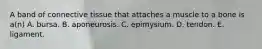 A band of connective tissue that attaches a muscle to a bone is a(n) A. bursa. B. aponeurosis. C. epimysium. D. tendon. E. ligament.