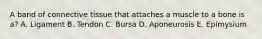 A band of connective tissue that attaches a muscle to a bone is a? A. Ligament B. Tendon C. Bursa D. Aponeurosis E. Epimysium
