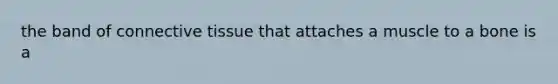 the band of <a href='https://www.questionai.com/knowledge/kYDr0DHyc8-connective-tissue' class='anchor-knowledge'>connective tissue</a> that attaches a muscle to a bone is a