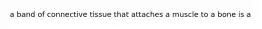 a band of connective tissue that attaches a muscle to a bone is a