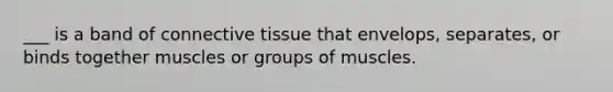 ___ is a band of connective tissue that envelops, separates, or binds together muscles or groups of muscles.