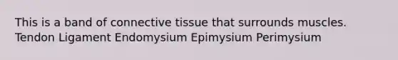 This is a band of <a href='https://www.questionai.com/knowledge/kYDr0DHyc8-connective-tissue' class='anchor-knowledge'>connective tissue</a> that surrounds muscles. Tendon Ligament Endomysium Epimysium Perimysium