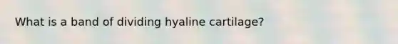 What is a band of dividing hyaline cartilage?