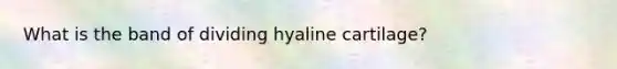 What is the band of dividing hyaline cartilage?