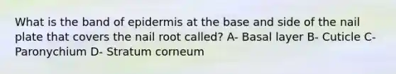 What is the band of epidermis at the base and side of the nail plate that covers the nail root called? A- Basal layer B- Cuticle C- Paronychium D- Stratum corneum