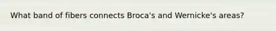 What band of fibers connects Broca's and Wernicke's areas?