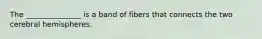 The _______________ is a band of fibers that connects the two cerebral hemispheres.