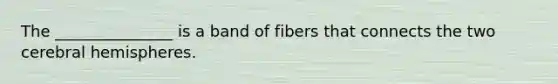 The _______________ is a band of fibers that connects the two cerebral hemispheres.