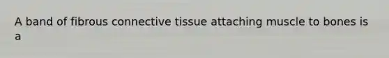 A band of fibrous connective tissue attaching muscle to bones is a