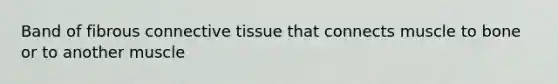 Band of fibrous connective tissue that connects muscle to bone or to another muscle