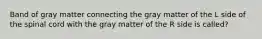 Band of gray matter connecting the gray matter of the L side of the spinal cord with the gray matter of the R side is called?