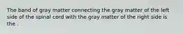 The band of gray matter connecting the gray matter of the left side of the spinal cord with the gray matter of the right side is the .