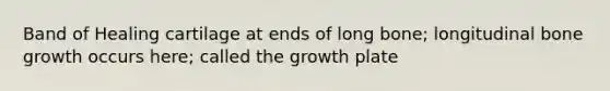 Band of Healing cartilage at ends of long bone; longitudinal bone growth occurs here; called the growth plate