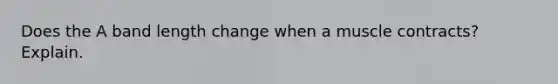 Does the A band length change when a muscle contracts? Explain.