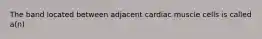 The band located between adjacent cardiac muscle cells is called a(n)