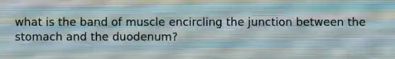 what is the band of muscle encircling the junction between <a href='https://www.questionai.com/knowledge/kLccSGjkt8-the-stomach' class='anchor-knowledge'>the stomach</a> and the duodenum?