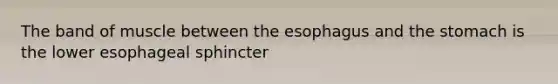 The band of muscle between the esophagus and the stomach is the lower esophageal sphincter