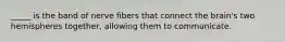 _____ is the band of nerve fibers that connect the brain's two hemispheres together, allowing them to communicate.