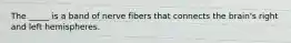 The _____ is a band of nerve fibers that connects the brain's right and left hemispheres.