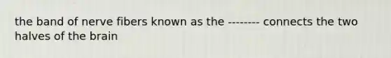 the band of nerve fibers known as the -------- connects the two halves of the brain