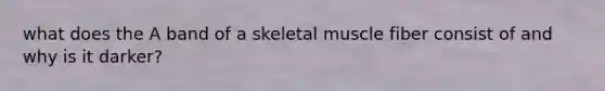 what does the A band of a skeletal muscle fiber consist of and why is it darker?