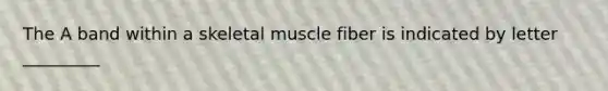 The A band within a skeletal muscle fiber is indicated by letter _________