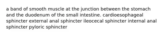 a band of smooth muscle at the junction between the stomach and the duodenum of the small intestine. cardioesophageal sphincter external anal sphincter ileocecal sphincter internal anal sphincter pyloric sphincter