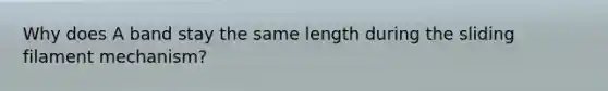 Why does A band stay the same length during the sliding filament mechanism?