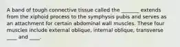 A band of tough connective tissue called the _______ extends from the xiphoid process to the symphysis pubis and serves as an attachment for certain abdominal wall muscles. These four muscles include external oblique, internal oblique, transverse ____ and ____.