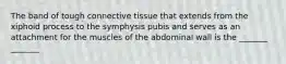 The band of tough connective tissue that extends from the xiphoid process to the symphysis pubis and serves as an attachment for the muscles of the abdominal wall is the _______ _______