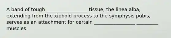 A band of tough _________________ tissue, the linea alba, extending from the xiphoid process to the symphysis pubis, serves as an attachment for certain _________________ _________ muscles.