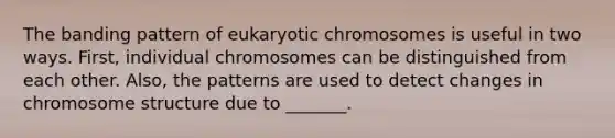 The banding pattern of eukaryotic chromosomes is useful in two ways. First, individual chromosomes can be distinguished from each other. Also, the patterns are used to detect changes in chromosome structure due to _______.