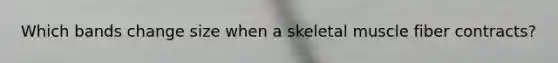 Which bands change size when a skeletal muscle fiber contracts?