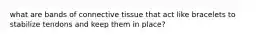 what are bands of connective tissue that act like bracelets to stabilize tendons and keep them in place?