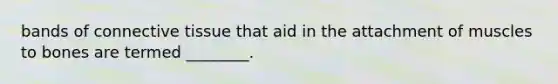 bands of connective tissue that aid in the attachment of muscles to bones are termed ________.