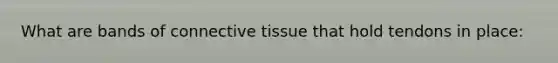 What are bands of connective tissue that hold tendons in place: