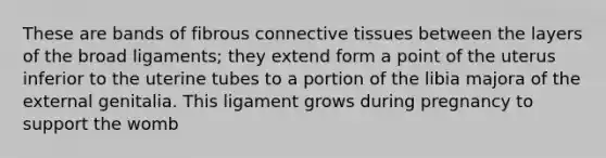 These are bands of fibrous <a href='https://www.questionai.com/knowledge/kYDr0DHyc8-connective-tissue' class='anchor-knowledge'>connective tissue</a>s between the layers of the broad ligaments; they extend form a point of the uterus inferior to the uterine tubes to a portion of the libia majora of the external genitalia. This ligament grows during pregnancy to support the womb