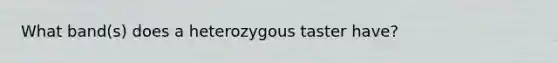 What band(s) does a heterozygous taster have?