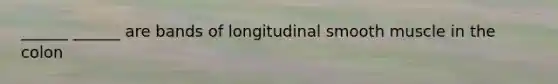 ______ ______ are bands of longitudinal smooth muscle in the colon